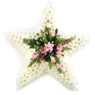 Flower Delivery Edinburgh on Home   Flowers   Funeral Flowers   Pink   White Star Funeral Tribute
