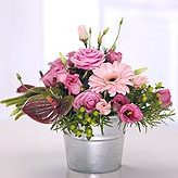 pink-flowers category