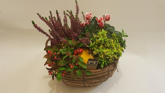 Autumnal Bloom Basket