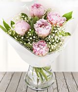 pink-flowers category
