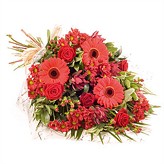 red-flowers category