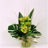 Tropical Singapore Modern Hand-Tied Bouquet 