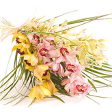Orchid Delight Exotic  Hand-tied Bouquet
